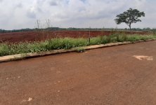 properties-photo-smale